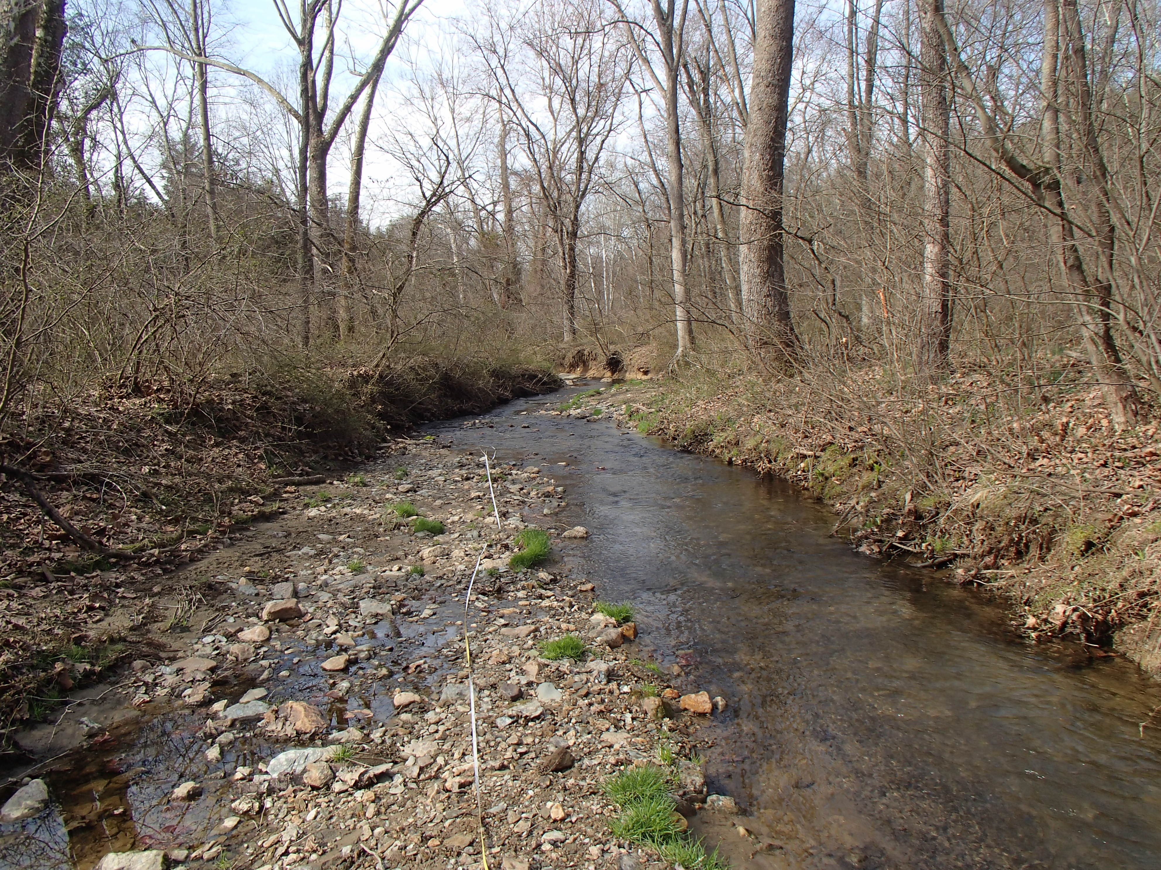 Field photo showing stream conditions at site LOCH-121-R-2016_midpoint looking downstream